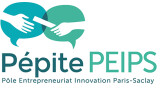 Pépite PEIPS